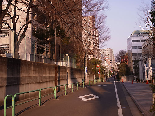 ichibancho201102.jpg
